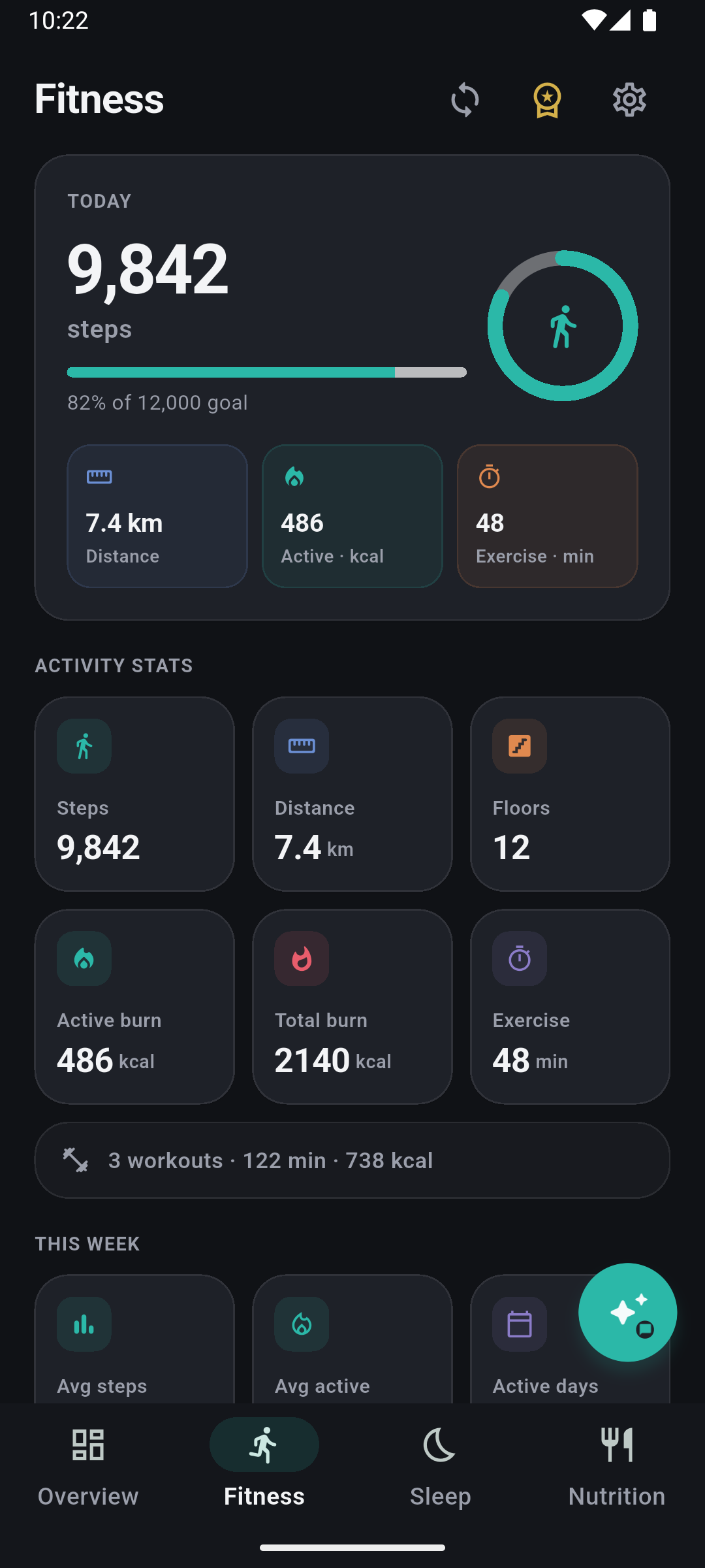 FitForge Fitness tab showing steps and activity stats